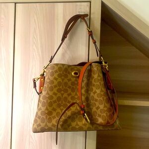 Coach Brown Willow Bucket Bag